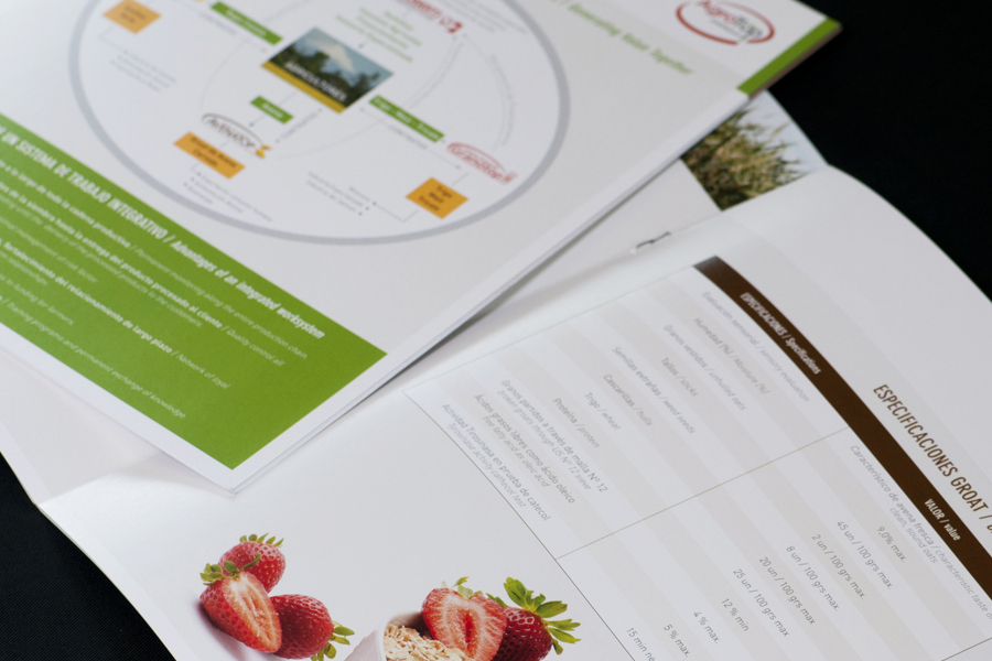 Brochure  corporativo | Agrotop 03