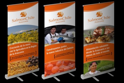 Pendón corporativo | <span>SalmonChile<span>